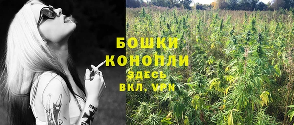 ПСИЛОЦИБИНОВЫЕ ГРИБЫ Баксан