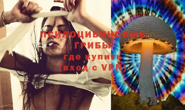 ПСИЛОЦИБИНОВЫЕ ГРИБЫ Баксан