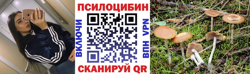 Галлюциногенные грибы MAGIC MUSHROOMS  Ленинск 